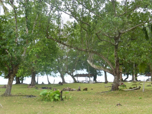 Vanuatu — quand partir