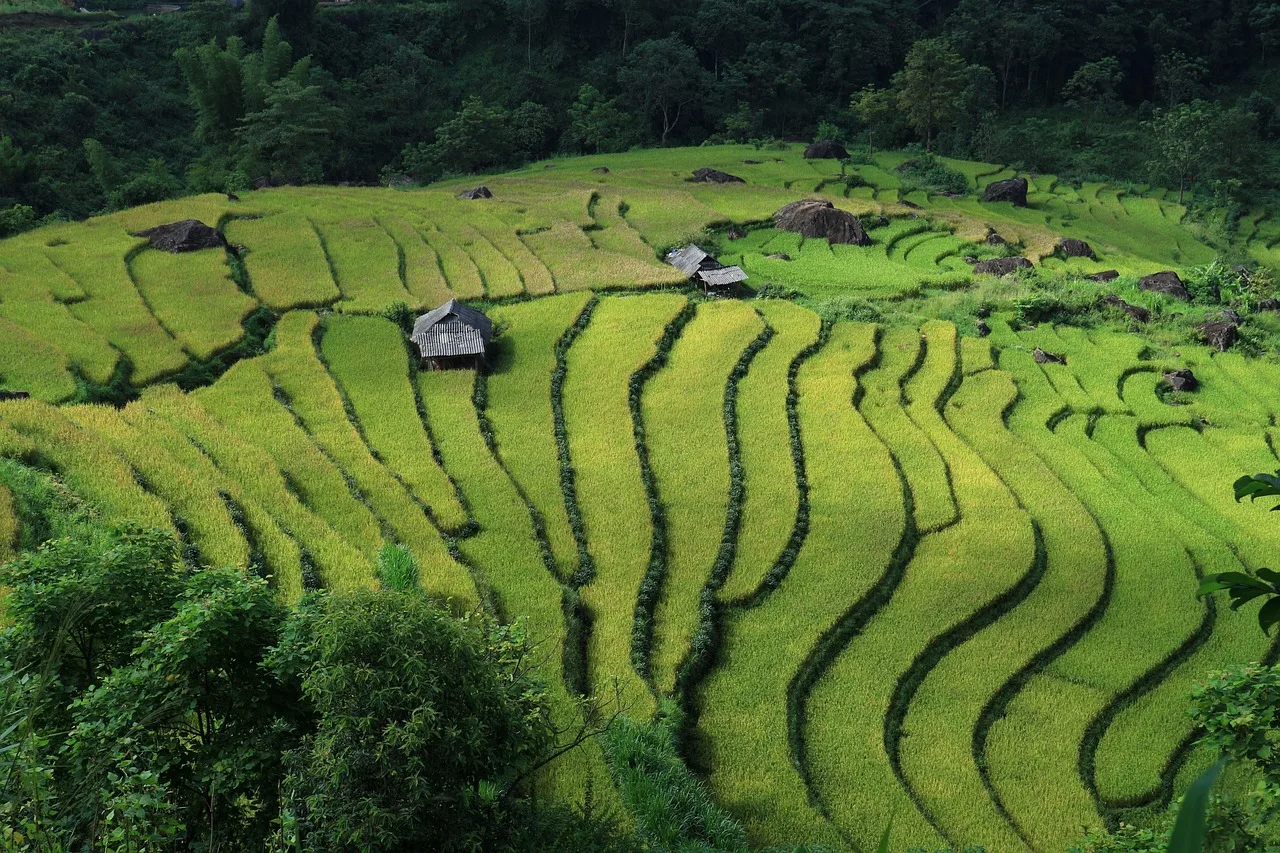 Vietnam — itineraire 7 jours
