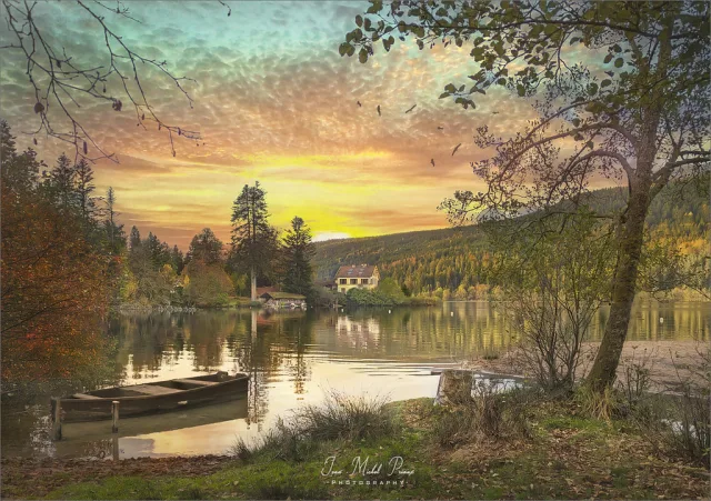 Vosges landscape