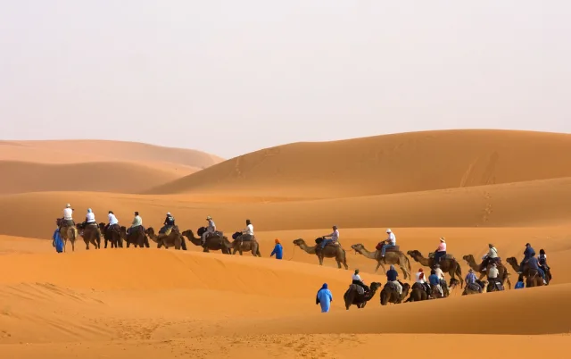camel trek desert sand dunes sunset Randonnée chamelière