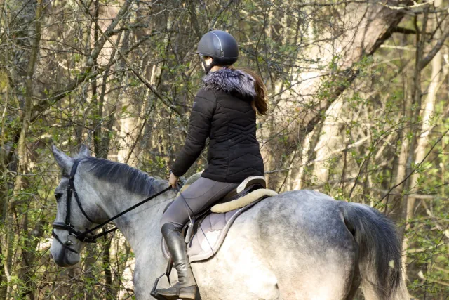 horseback riding equestrian trail countryside Randonnée à cheval