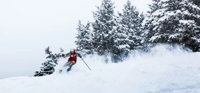 ski alpine mountain powder snow Séjour ski