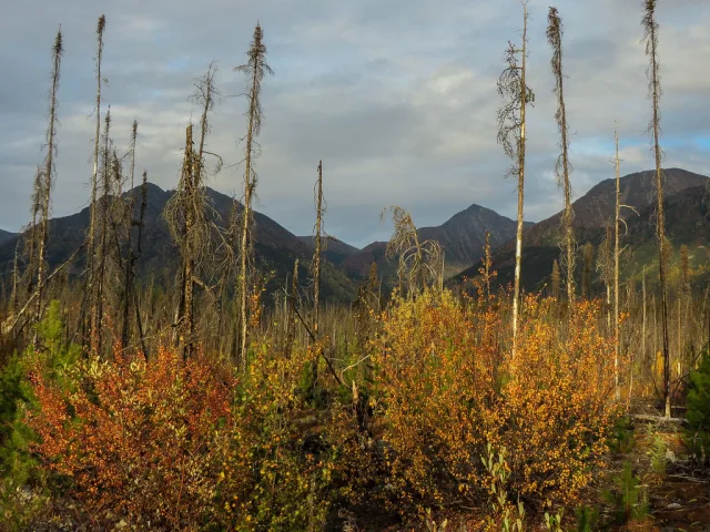 Yukon — hub principal region