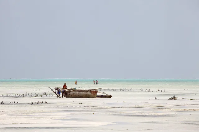 Zanzibar — hub principal region