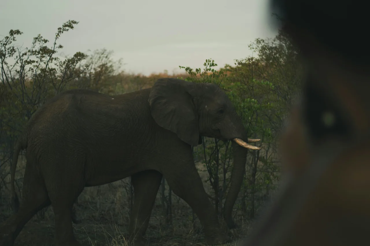 Zimbabwe — guide de voyage